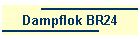 Dampflok BR24